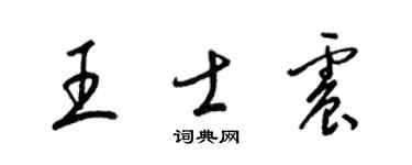 梁錦英王士震草書個性簽名怎么寫