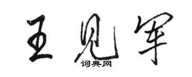 駱恆光王見軍行書個性簽名怎么寫