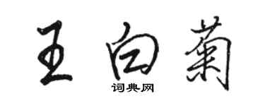 駱恆光王白菊行書個性簽名怎么寫