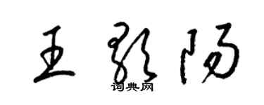 梁錦英王歌陽草書個性簽名怎么寫
