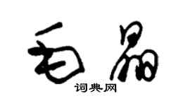 朱錫榮毛晶草書個性簽名怎么寫