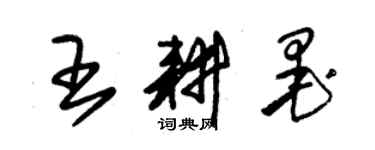 朱錫榮王耕墨草書個性簽名怎么寫