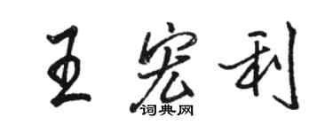 駱恆光王宏利行書個性簽名怎么寫