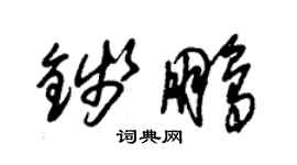 朱錫榮錢鵬草書個性簽名怎么寫