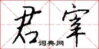 君統的意思_君統的解釋_國語詞典