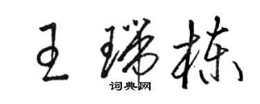 駱恆光王瑞棟草書個性簽名怎么寫