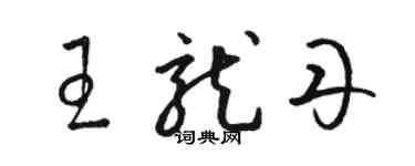 駱恆光王龍丹草書個性簽名怎么寫