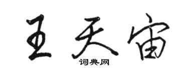 駱恆光王天宙行書個性簽名怎么寫