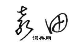 駱恆光袁田草書個性簽名怎么寫