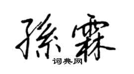 王正良孫霖行書個性簽名怎么寫