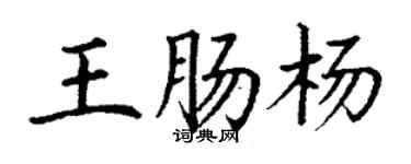 丁謙王腸楊楷書個性簽名怎么寫