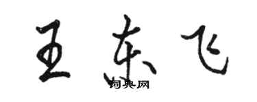 駱恆光王東飛行書個性簽名怎么寫