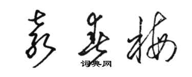 駱恆光袁春梅草書個性簽名怎么寫