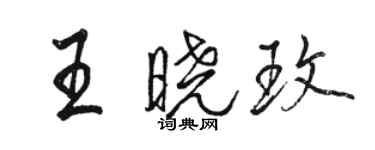 駱恆光王曉玫行書個性簽名怎么寫