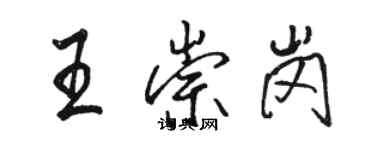 駱恆光王崇崗行書個性簽名怎么寫