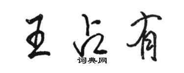 駱恆光王占有行書個性簽名怎么寫