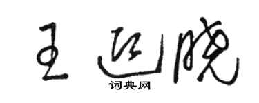 駱恆光王迎曉草書個性簽名怎么寫