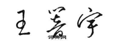 駱恆光王響宇草書個性簽名怎么寫