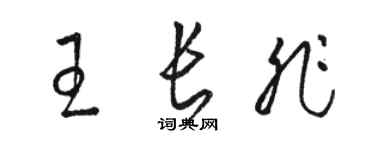 駱恆光王長非草書個性簽名怎么寫