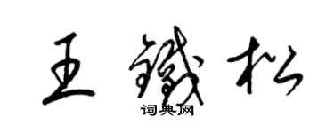 梁錦英王鐵松草書個性簽名怎么寫