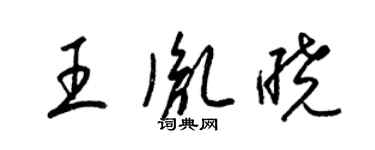 梁錦英王胤曉草書個性簽名怎么寫