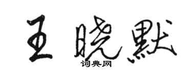 駱恆光王曉默行書個性簽名怎么寫