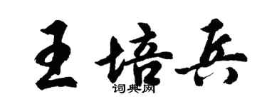 胡問遂王培兵行書個性簽名怎么寫