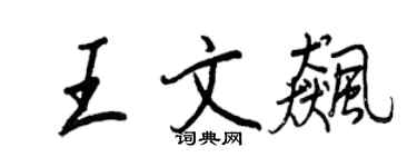 王正良王文飈行書個性簽名怎么寫