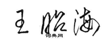 駱恆光王昭海草書個性簽名怎么寫