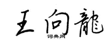 王正良王向龍行書個性簽名怎么寫