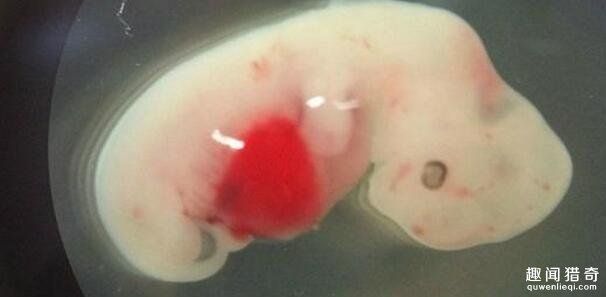 楊玉環怎么入宮的?李瑁為什麼不反抗玄宗?楊貴妃和玄宗是真愛嗎?