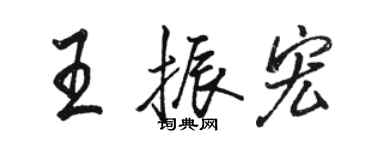 駱恆光王振宏行書個性簽名怎么寫