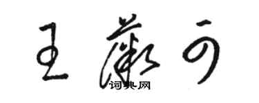 駱恆光王薇可草書個性簽名怎么寫