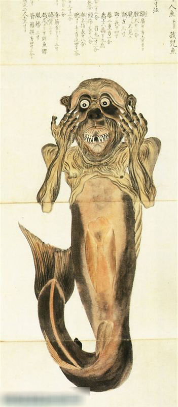 傳說中的日本美人魚 怪異令人噁心