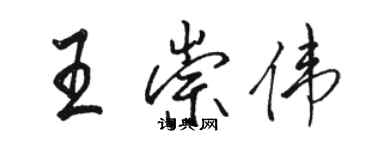 駱恆光王崇偉行書個性簽名怎么寫