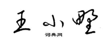 梁錦英王小野草書個性簽名怎么寫