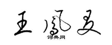 梁錦英王鳳友草書個性簽名怎么寫