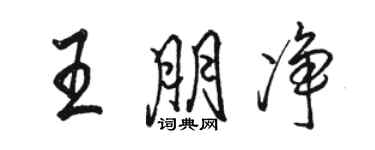 駱恆光王朋淨行書個性簽名怎么寫