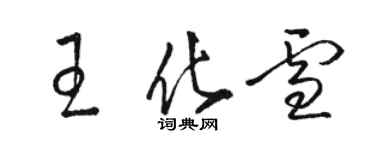 駱恆光王化雪草書個性簽名怎么寫