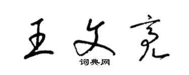 梁錦英王文亮草書個性簽名怎么寫