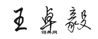 駱恆光王卓毅行書個性簽名怎么寫