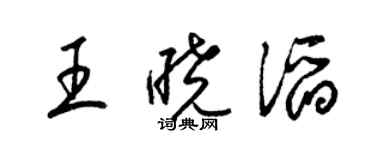 梁錦英王曉滔草書個性簽名怎么寫
