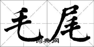 翁闓運毛尾楷書怎么寫