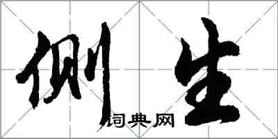 胡問遂側生行書怎么寫