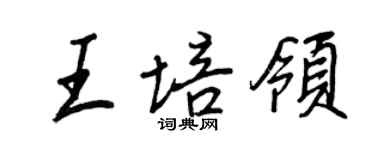 王正良王培領行書個性簽名怎么寫