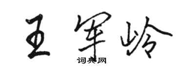 駱恆光王軍嶺行書個性簽名怎么寫