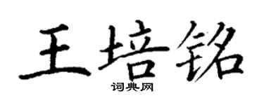 丁謙王培銘楷書個性簽名怎么寫