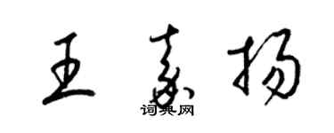 梁錦英王嘉揚草書個性簽名怎么寫