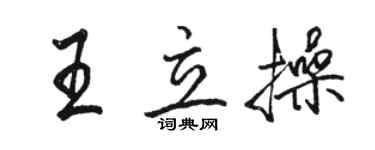 駱恆光王立操行書個性簽名怎么寫