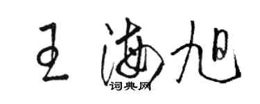 駱恆光王海旭草書個性簽名怎么寫